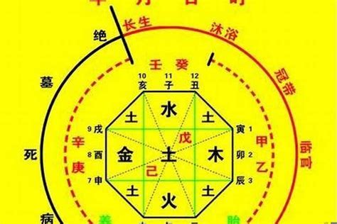 生晨八字|生辰八字算命、五行喜用神查詢（免費測算）